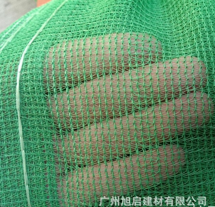 2.JPG